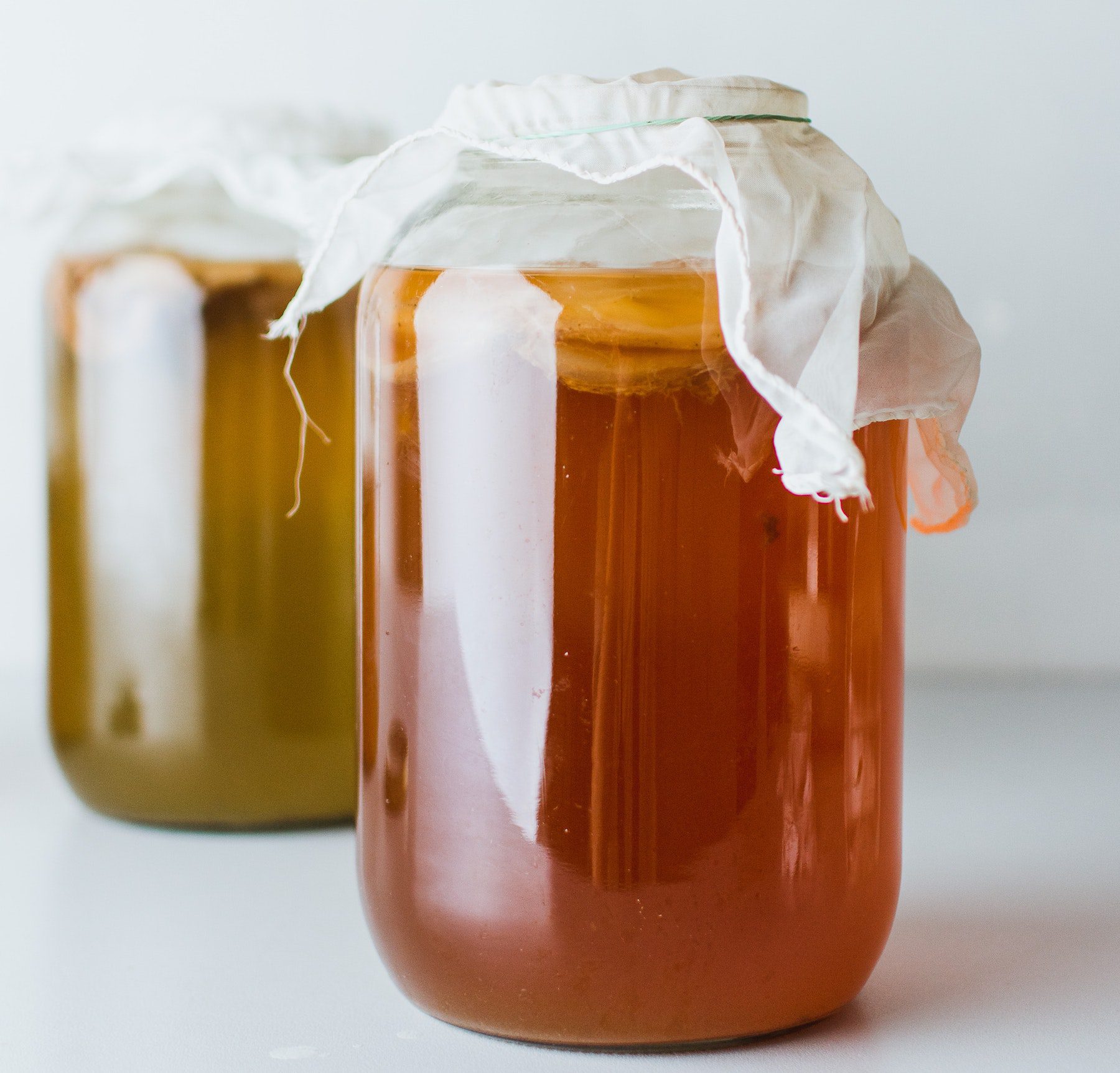 Two large jars of homemade kombucha covered with cloth and rubber bands.