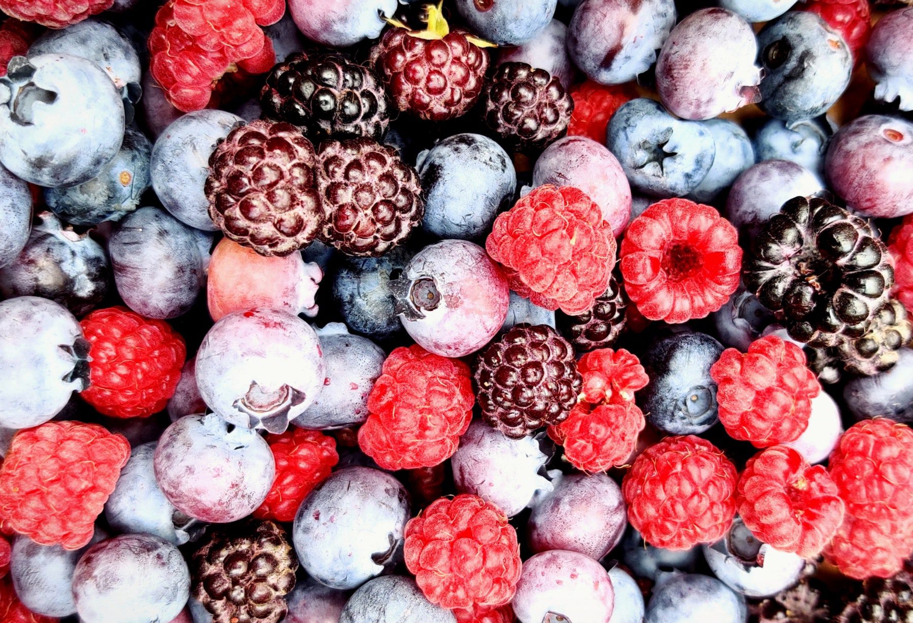 Close-up of mixed berries including blueberries, blackberries, and raspberries.