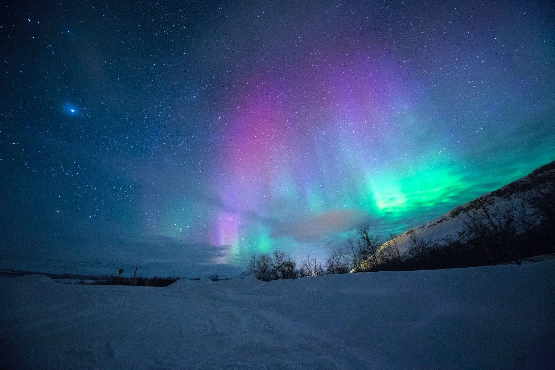 Aurora Borealis in Alaska, brilliant purple and teal lights against the starry sky with snow on the ground.