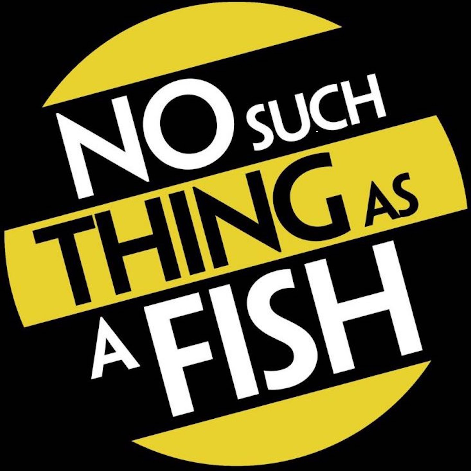 Yellow and black background with alternating black and white text reading No Such Thing as A Fish. 