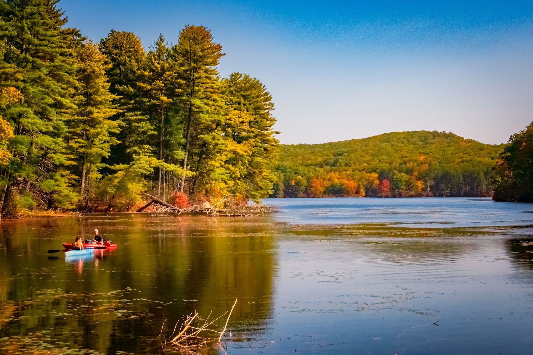 A couple kayaking in the lake of Harriman State Park while large trees cover the entire hillsides