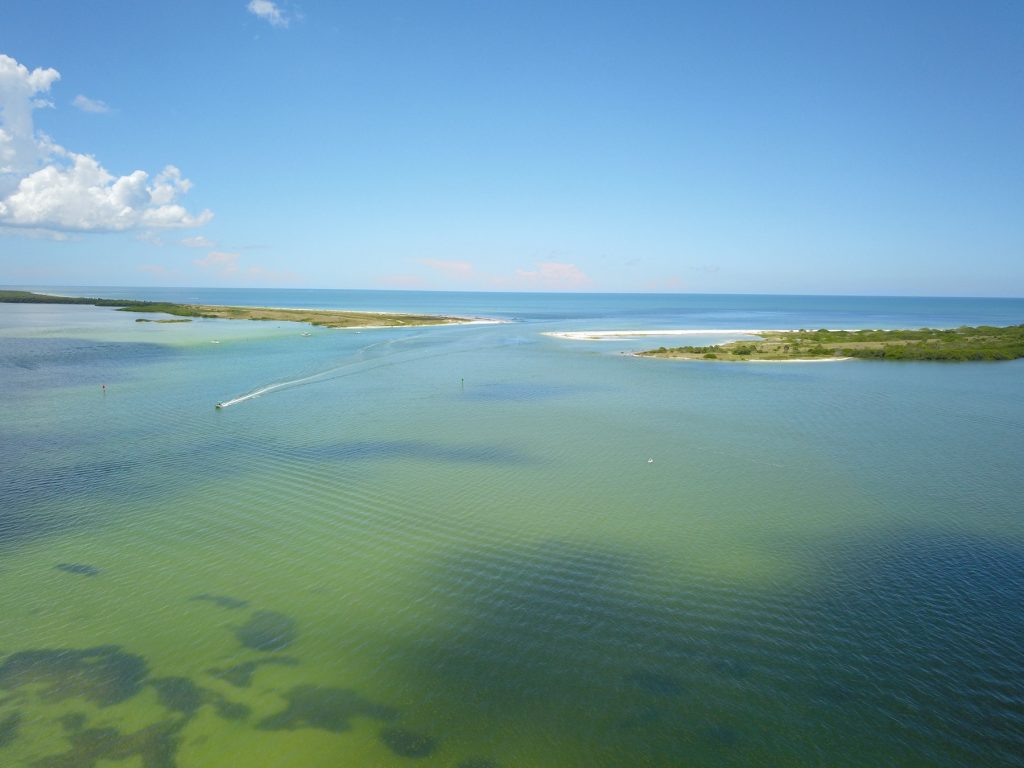 honeymoon-island-state-park-florida