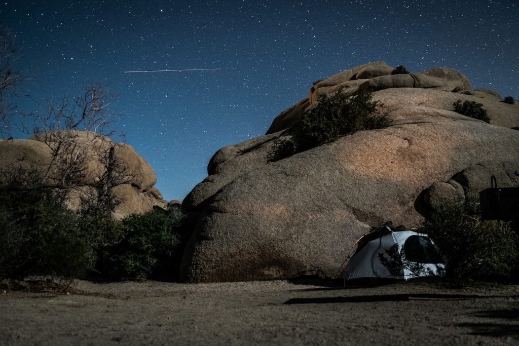 joshua-tree-nate-kadlac-ASsJYPgtLnc-unsplash