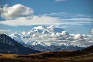 Snowy mountains in the distance behind vast forest landscape in Denali National Park, Alaska.