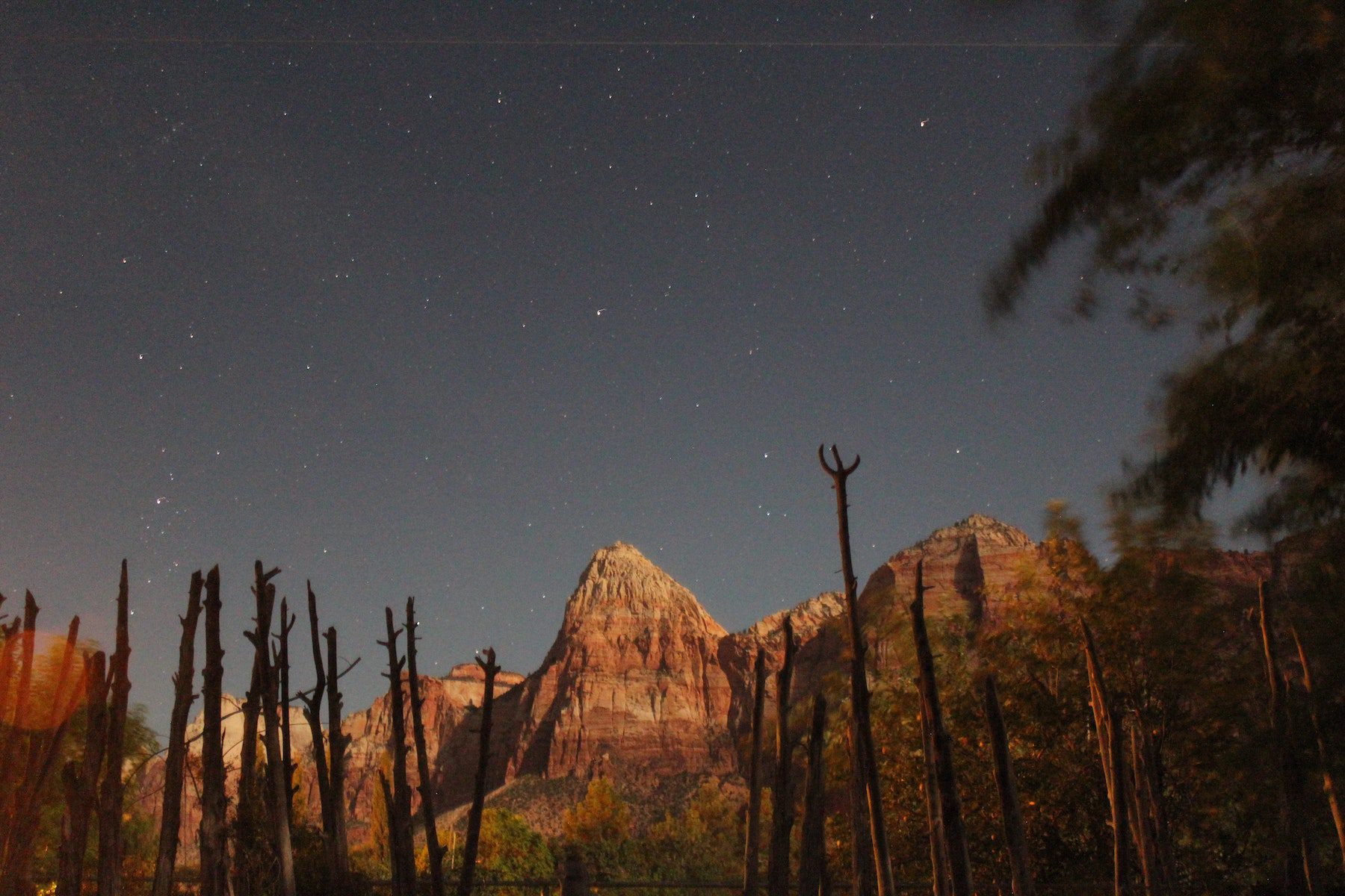 Zion National Park, United States, with star-filled night sky and views of sandstone formation and desert plants.