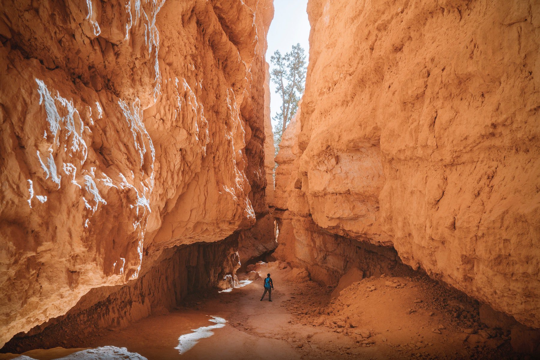 An individual stands between two canyon walls in Bryce Canyon National Park.