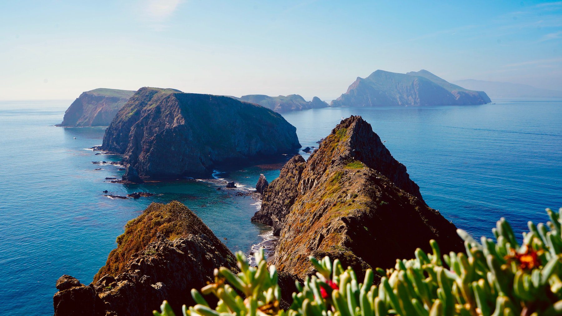 View of deep blue waters and rock formations on cliffs of the Channel Islands in spring, with flowers in foreground.