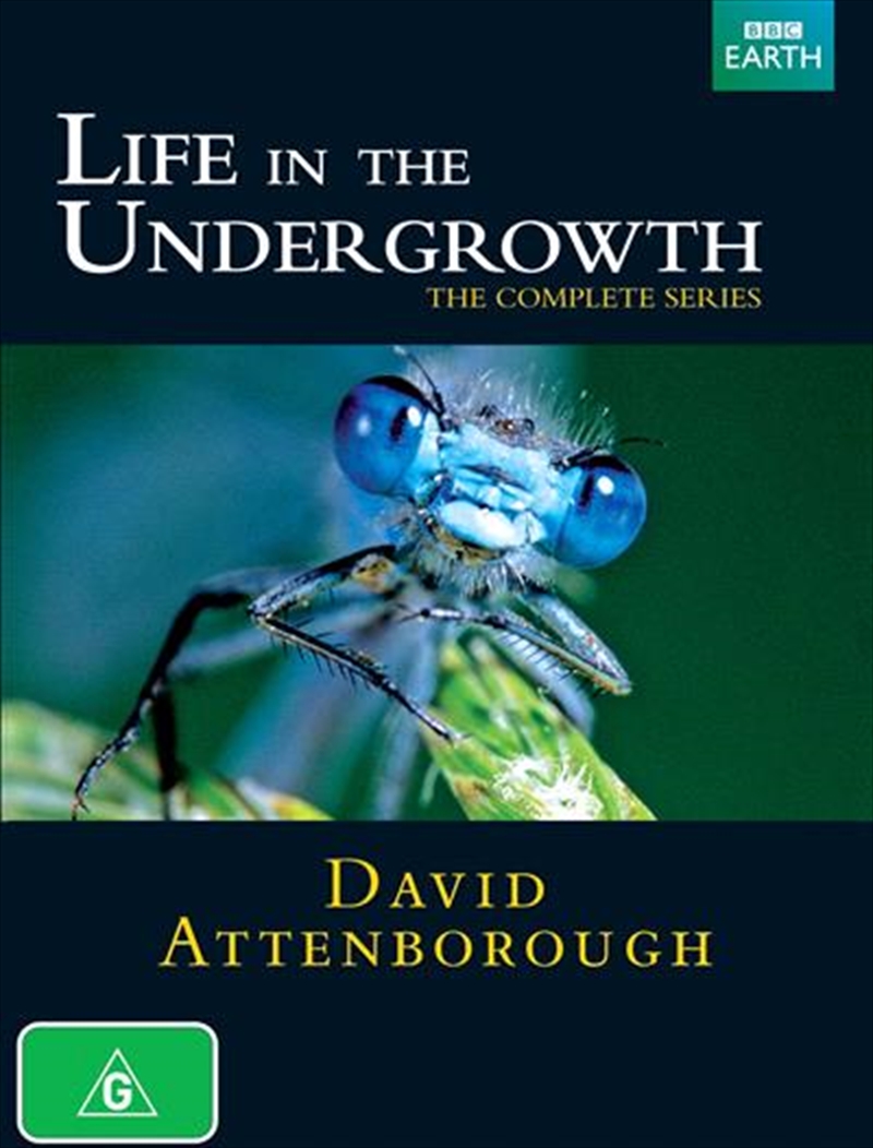 "Life in the Undergrowth" with David Attenborough