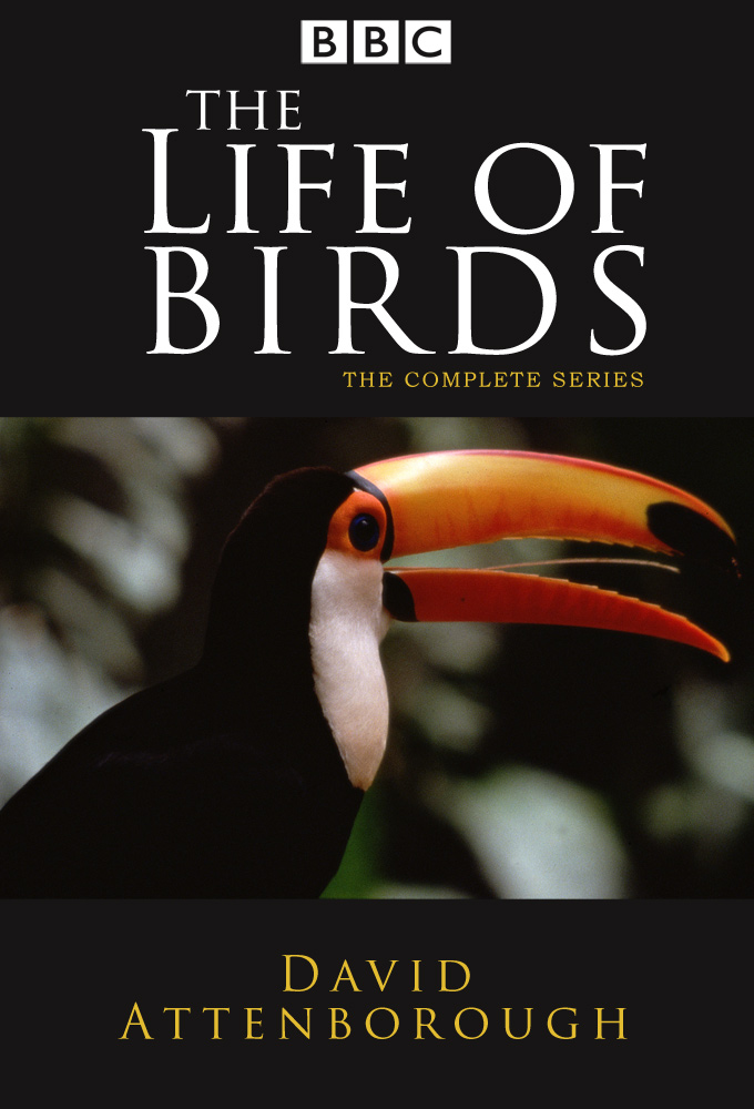 "The Life of Birds" with David Attenborough complete series cover